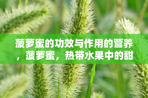 菠萝蜜的功效与作用的营养，菠萝蜜，热带水果中的甜蜜瑰宝