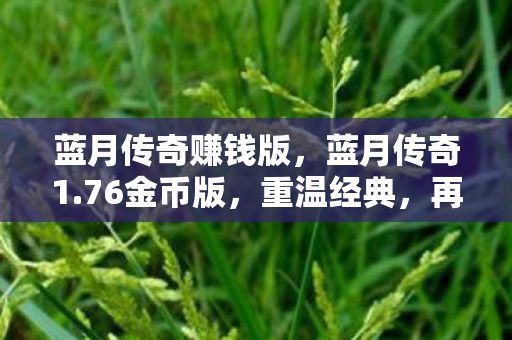 蓝月传奇赚钱版,蓝月传奇1.76金币版,重温经典,再燃激情 蓝月传奇赚钱版,蓝月传奇1.76金币版,重温经典,再燃激情