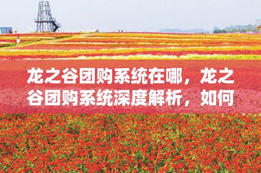 龙之谷团购系统在哪，龙之谷团购系统深度解析，如何玩转新福利？