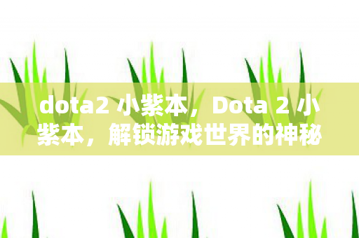 dota2 小紫本,Dota 2 小紫本,解锁游戏世界的神秘宝藏 dota2 小紫本,Dota 2 小紫本,解锁游戏世界的神秘宝藏