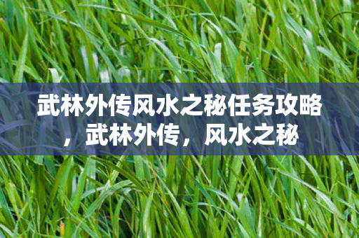 武林外传风水之秘任务攻略，武林外传，风水之秘