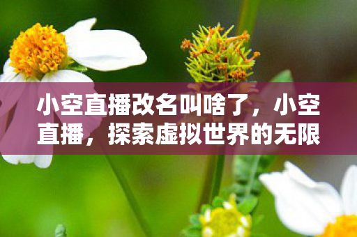 小空直播改名叫啥了，小空直播，探索虚拟世界的无限可能