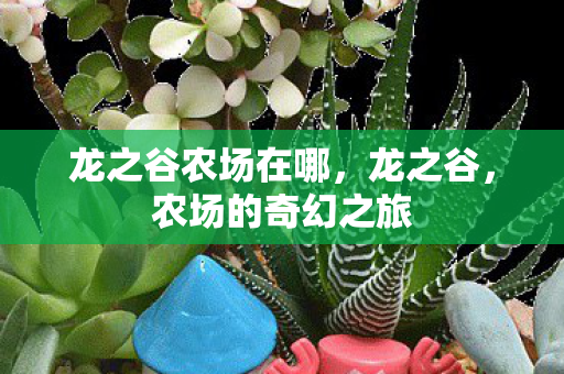 龙之谷农场在哪，龙之谷，农场的奇幻之旅