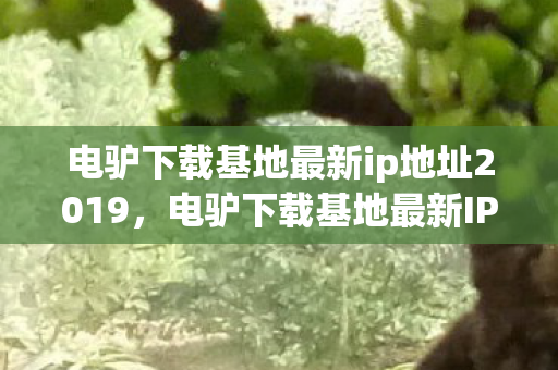 电驴下载基地最新ip地址2019，电驴下载基地最新IP，探索资源分享的新领地