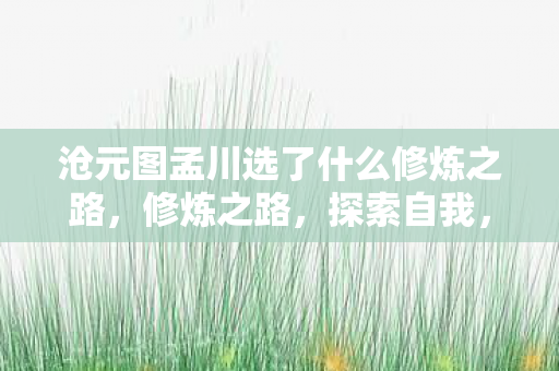 沧元图孟川选了什么修炼之路，修炼之路，探索自我，成就卓越
