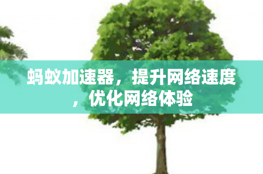 蚂蚁加速器,提升网络速度,优化网络体验 蚂蚁加速器,提升网络速度,优化网络体验