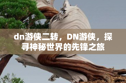 dn游侠二转，DN游侠，探寻神秘世界的先锋之旅