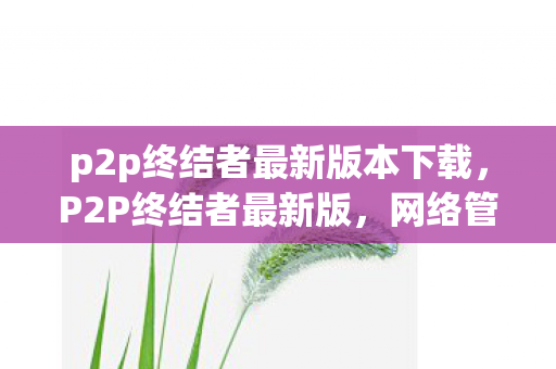 p2p终结者最新版本下载，P2P终结者最新版，网络管理的革命性工具