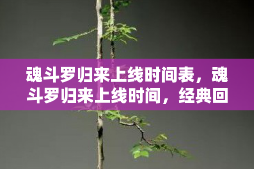 魂斗罗归来上线时间表,魂斗罗归来上线时间,经典回归,再燃战火 魂斗罗归来上线时间表,魂斗罗归来上线时间,经典回归,再燃战火