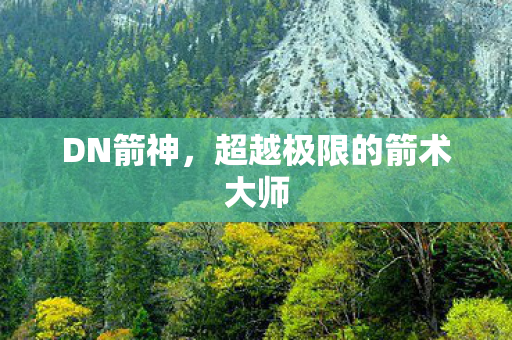 DN箭神，超越极限的箭术大师