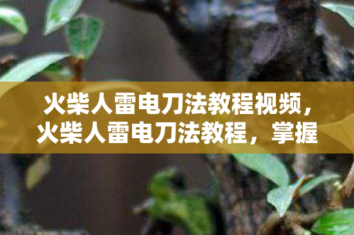 火柴人雷电刀法教程视频,火柴人雷电刀法教程,掌握闪电般的刀法技巧 火柴人雷电刀法教程视频,火柴人雷电刀法教程,掌握闪电般的刀法技巧