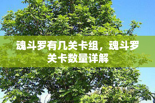 魂斗罗有几关卡组，魂斗罗关卡数量详解