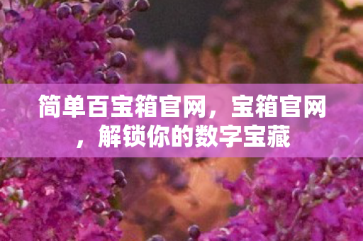 简单百宝箱官网，宝箱官网，解锁你的数字宝藏