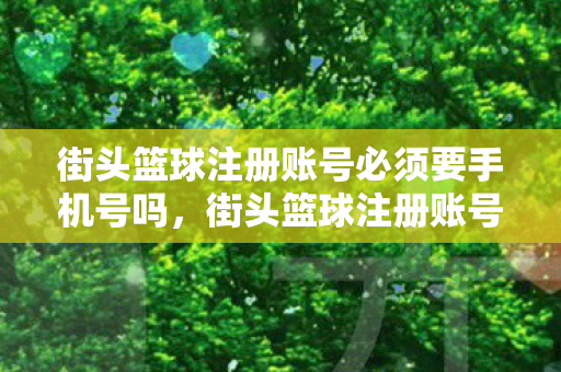 街头篮球注册账号必须要手机号吗，街头篮球注册账号全攻略，从零开始，打造你的篮球梦