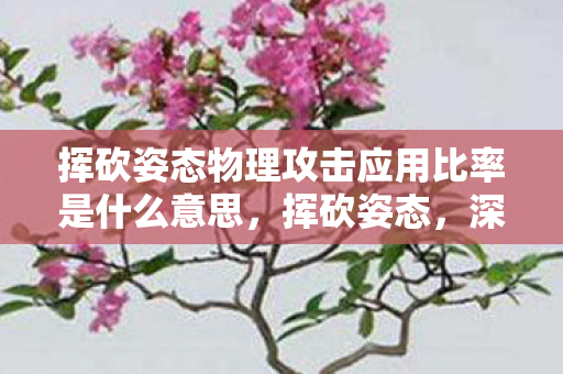 挥砍姿态物理攻击应用比率是什么意思，挥砍姿态，深度解析其背后蕴含的力量与技巧