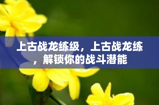 上古战龙练级,上古战龙练,解锁你的战斗潜能 上古战龙练级,上古战龙练,解锁你的战斗潜能