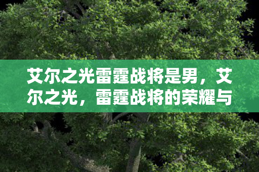 艾尔之光雷霆战将是男，艾尔之光，雷霆战将的荣耀与传奇