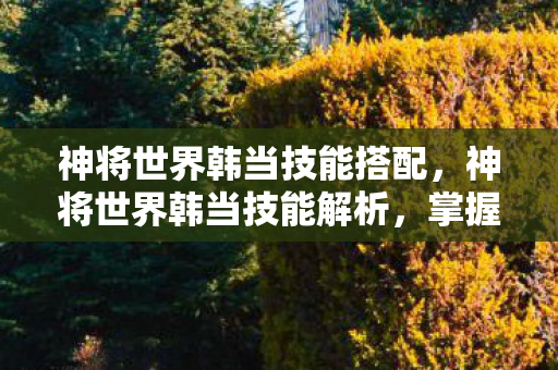 神将世界韩当技能搭配，神将世界韩当技能解析，掌握水战之王的战斗艺术