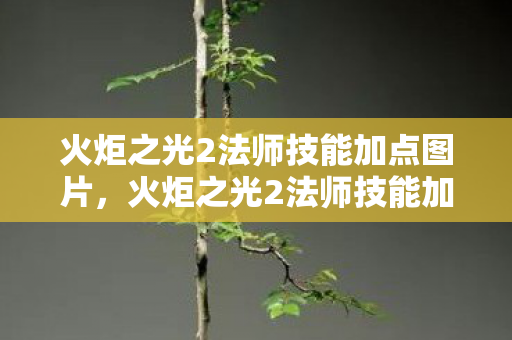 火炬之光2法师技能加点图片，火炬之光2法师技能加点图详解