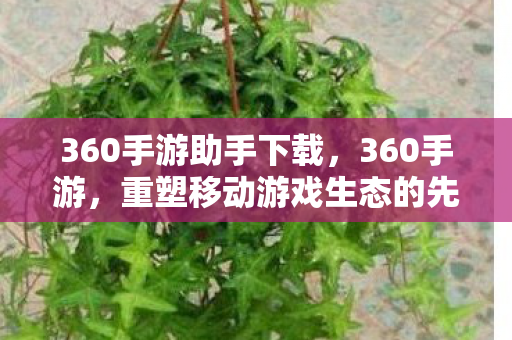 360手游助手下载，360手游，重塑移动游戏生态的先锋