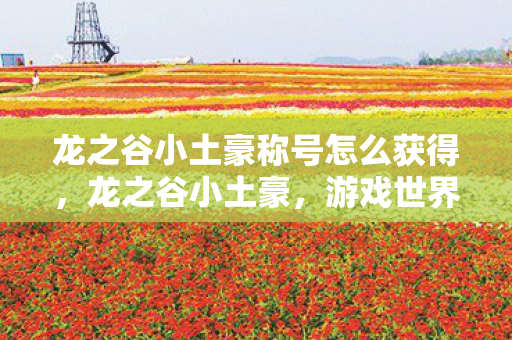 龙之谷小土豪称号怎么获得，龙之谷小土豪，游戏世界的璀璨新星