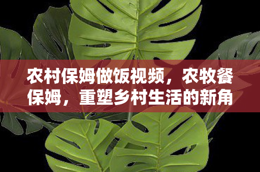 农村保姆做饭视频，农牧餐保姆，重塑乡村生活的新角色