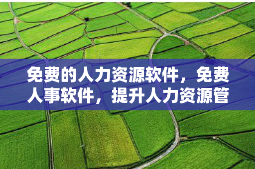 免费的人力资源软件，免费人事软件，提升人力资源管理的利器