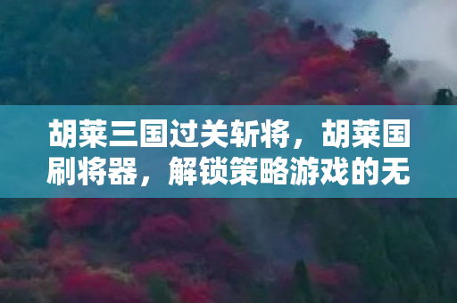胡莱三国过关斩将，胡莱国刷将器，解锁策略游戏的无限可能