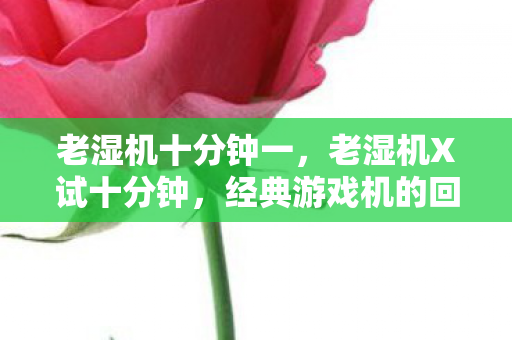 老湿机十分钟一，老湿机X试十分钟，经典游戏机的回忆与体验