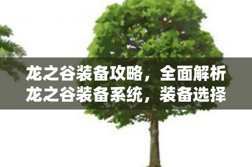 龙之谷装备攻略，全面解析龙之谷装备系统，装备选择与搭配指南