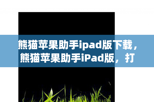 熊猫苹果助手ipad版下载，熊猫苹果助手iPad版，打造你的专属iOS设备管理工具