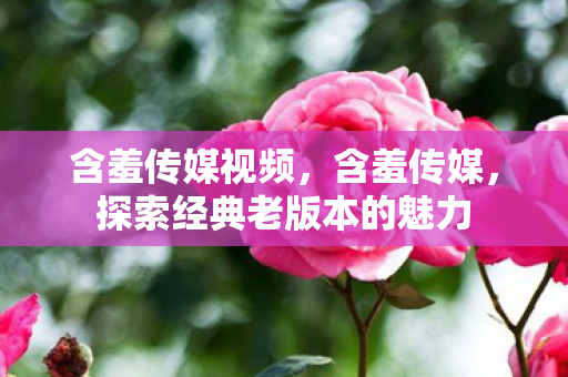 含羞传媒视频，含羞传媒，探索经典老版本的魅力