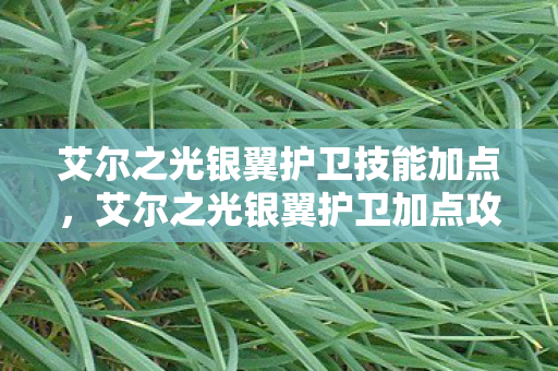 艾尔之光银翼护卫技能加点，艾尔之光银翼护卫加点攻略