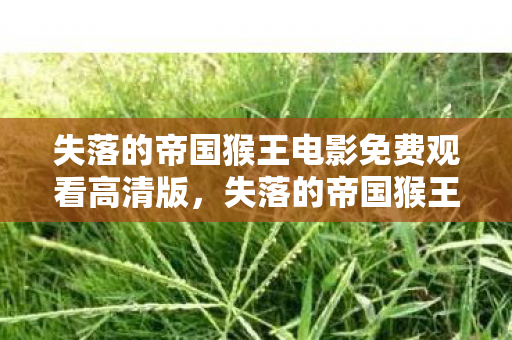 失落的帝国猴王电影免费观看高清版，失落的帝国猴王，探索古老文明的神秘传说