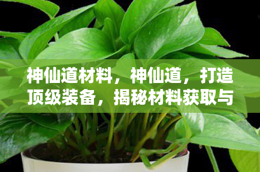 神仙道材料，神仙道，打造顶级装备，揭秘材料获取与运用