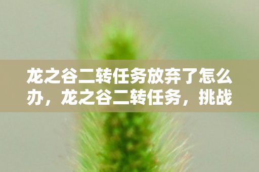 龙之谷二转任务放弃了怎么办，龙之谷二转任务，挑战与机遇并存