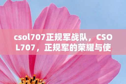 csol707正规军战队，CSOL707，正规军的荣耀与使命