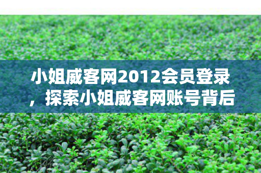 小姐威客网2012会员登录，探索小姐威客网账号背后的秘密，揭秘网络兼职的灰色地带