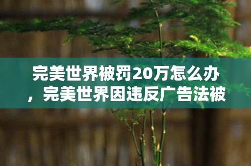 完美世界被罚20万怎么办，完美世界因违反广告法被罚20万，企业合规管理需加强