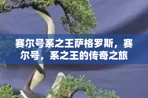 赛尔号系之王萨格罗斯，赛尔号，系之王的传奇之旅