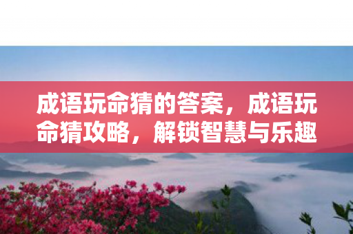 成语玩命猜的答案，成语玩命猜攻略，解锁智慧与乐趣的钥匙