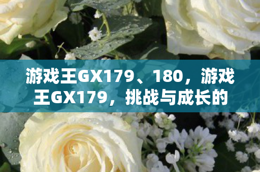 游戏王GX179、180，游戏王GX179，挑战与成长的新篇章
