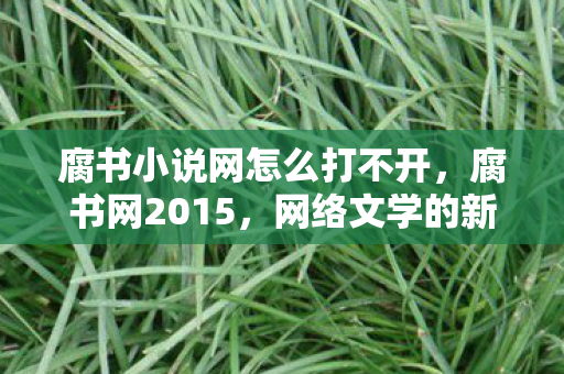 腐书小说网怎么打不开，腐书网2015，网络文学的新纪元