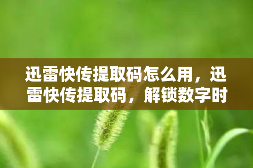 迅雷快传提取码怎么用，迅雷快传提取码，解锁数字时代资源分享的新方式