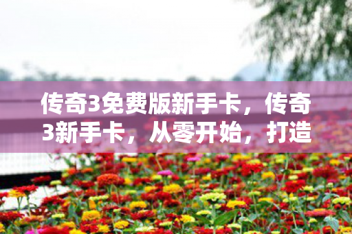 传奇3免费版新手卡，传奇3新手卡，从零开始，打造你的传奇之路