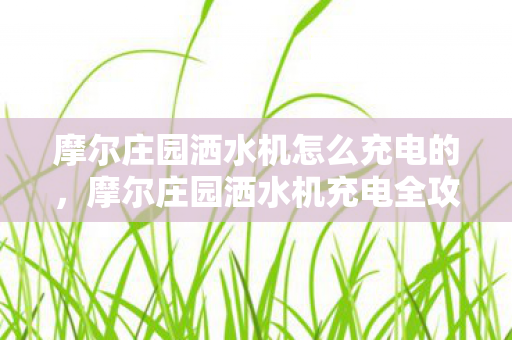 摩尔庄园洒水机怎么充电的，摩尔庄园洒水机充电全攻略