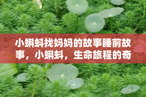 小蝌蚪找妈妈的故事睡前故事,小蝌蚪,生命旅程的奇妙探索 小蝌蚪找妈妈的故事睡前故事,小蝌蚪,生命旅程的奇妙探索