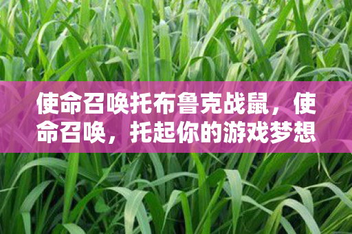 使命召唤托布鲁克战鼠,使命召唤,托起你的游戏梦想 使命召唤托布鲁克战鼠,使命召唤,托起你的游戏梦想