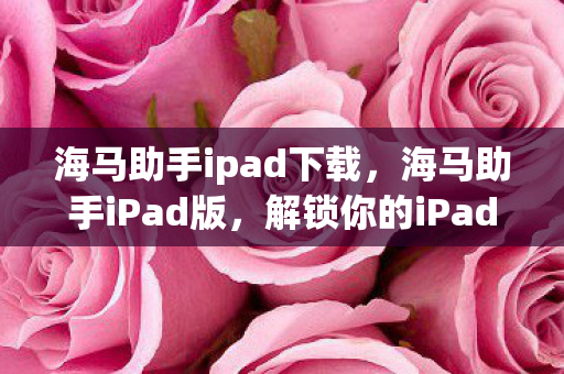 海马助手ipad下载，海马助手iPad版，解锁你的iPad娱乐新体验