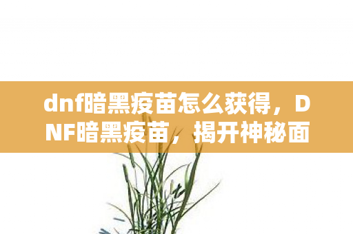 dnf暗黑疫苗怎么获得，DNF暗黑疫苗，揭开神秘面纱